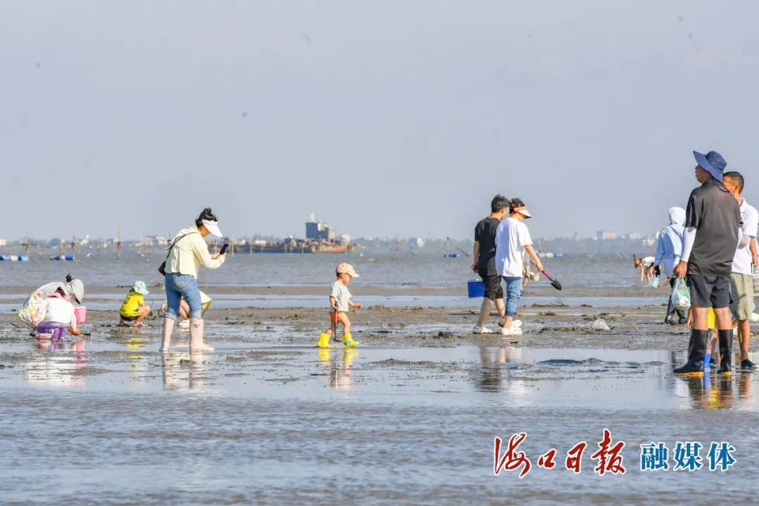 赶海、垂钓、露营…… 到江东新区游玩成海口市民新选择