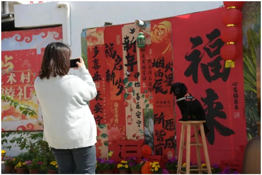 “村晚”搭台，“民星”唱戏！