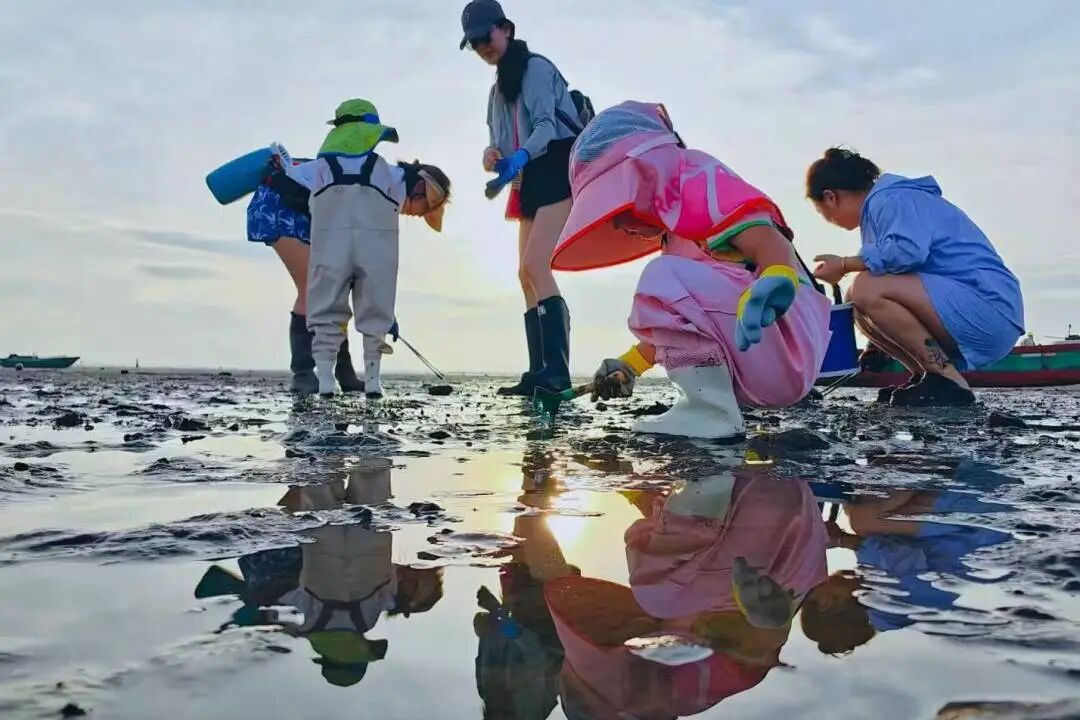 江东新区演丰曲口：打卡+赶海+捞鲜+吃蚝+喝咖啡+枕海眠，轻松玩透！